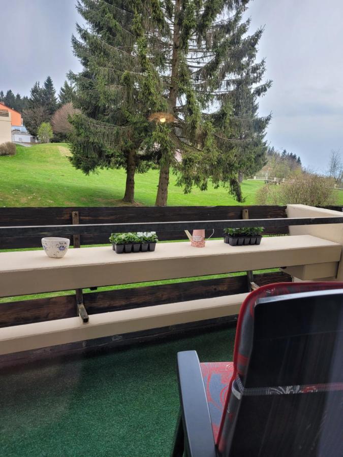 Ryan Apartament Mit Netflix Sankt Englmar Exterior photo