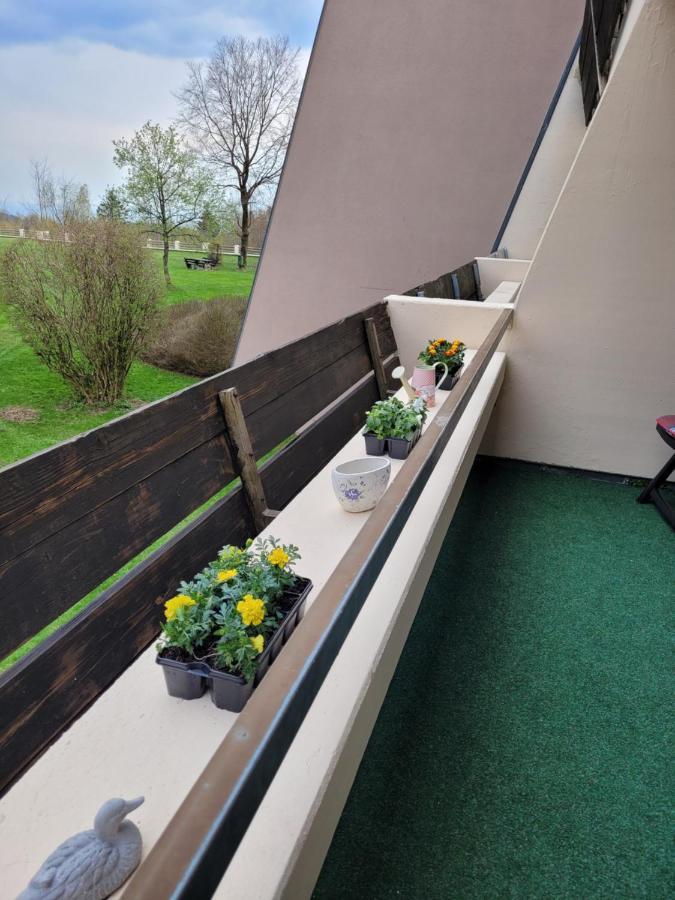 Ryan Apartament Mit Netflix Sankt Englmar Exterior photo